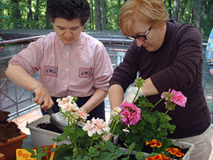 giardinaggio